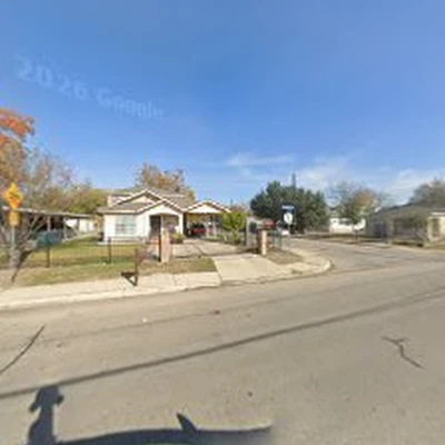 Tree Experts San Antonio