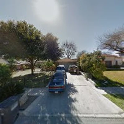 Live Oak Tree Service & LANDSCAPE