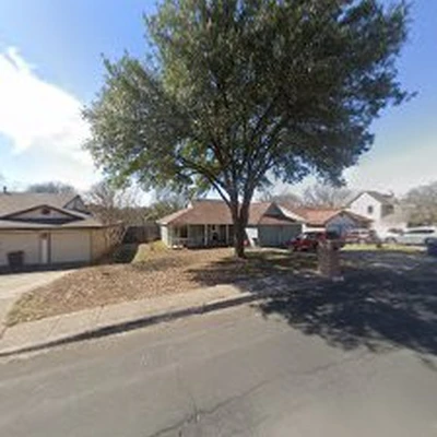 Healthy Oak Trees