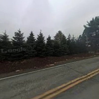 Double Tree Trimming & Removal Services