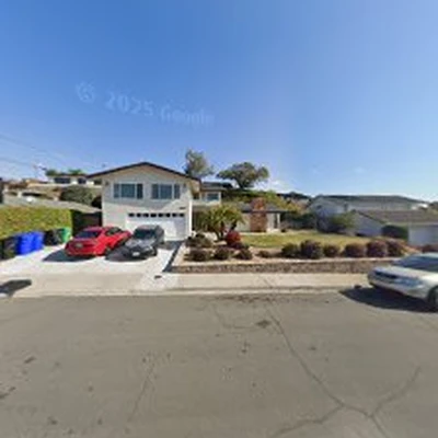 Tree Service San Diego