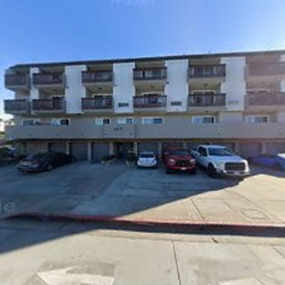 Ocean Beach Arborists