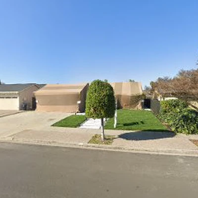 MGA Tree Services | Affordable Price