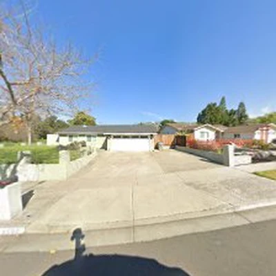 California Tree Solutions