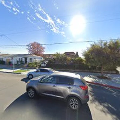 San Diego Tree Service Contractor