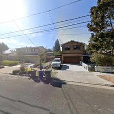 Serrano's Expert Tree Service