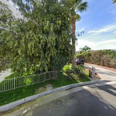 Palm Desert Tree Service