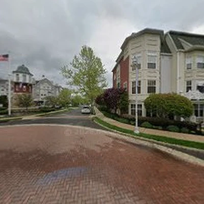 Trees Plus Tree Service Inc.