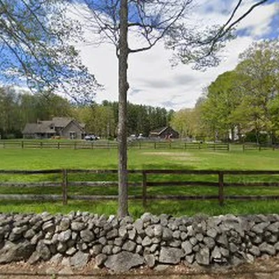 easton arborists Tree Service Easton