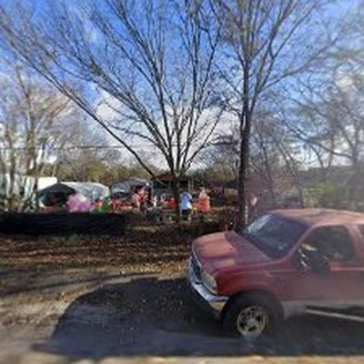 Jr's tree service