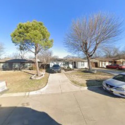 Red Monkeys tree service Arlington