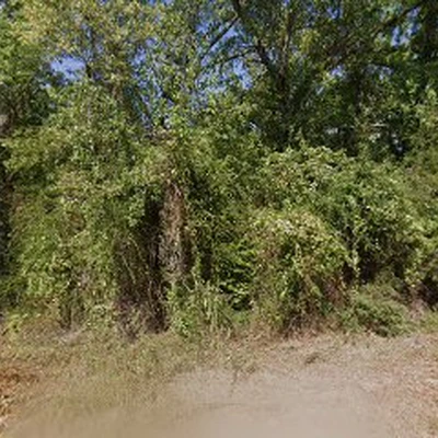 Smileys Tree Service Texas
