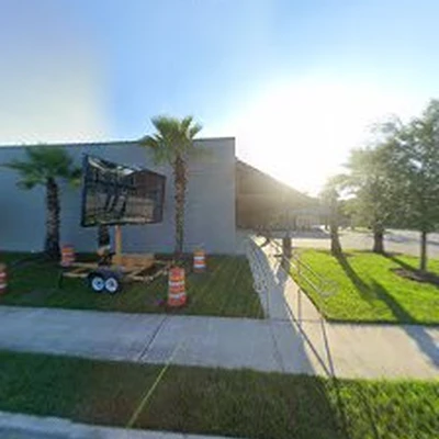Tree Pros Of Florida