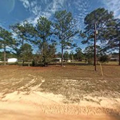 All American Tree Service & more LLC