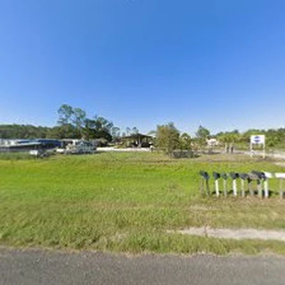 Florida's Tree Surgeons