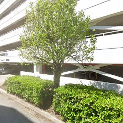 Amelia Island Tree Maintenance llc.