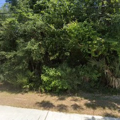 A1 Atlantic Lawn Services