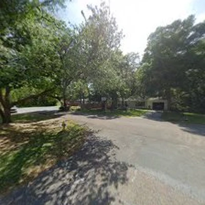 The Tree Surgeons - Tree Services