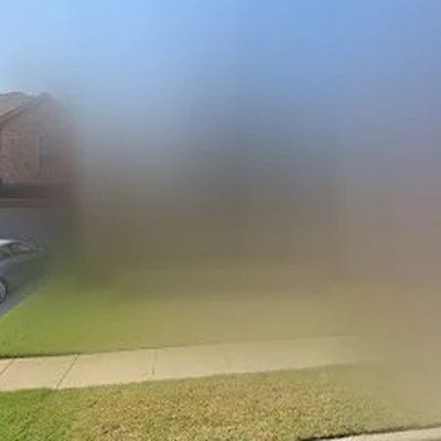 Professional Landscape & Irrigation