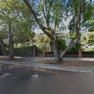 Commercial Arborists LLC