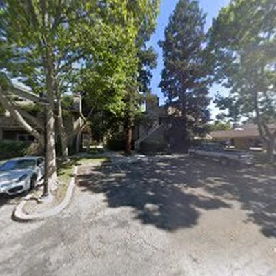 Oasis Tree Service