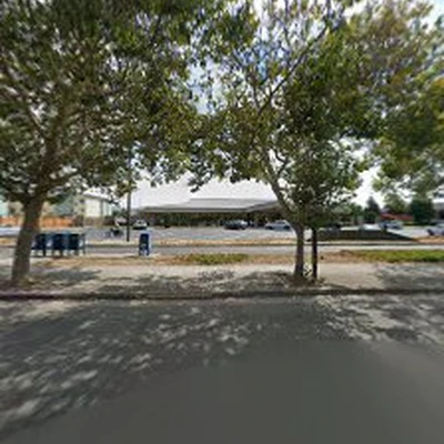 JSO Tree Service
