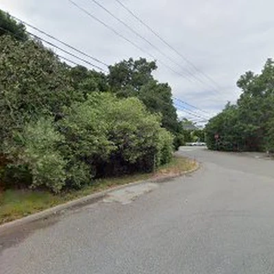 Trees 360 Degrees