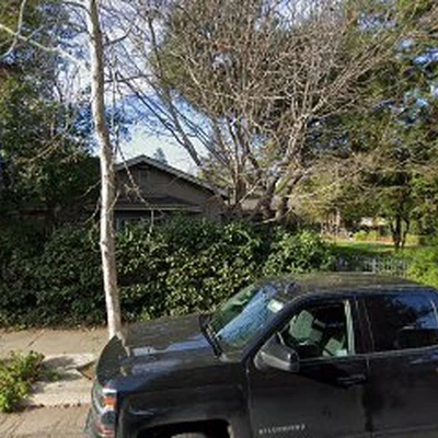 Treespecialistinc – Tree Speciaist