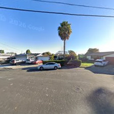Dsoto Tree Service