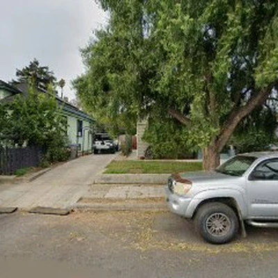 South Bay Trees