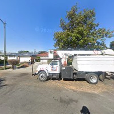 TREE TECHS BY THE BAY
