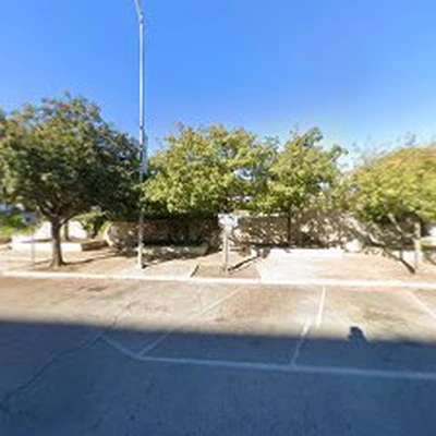 Austin Tree Surgeons - Tree Service