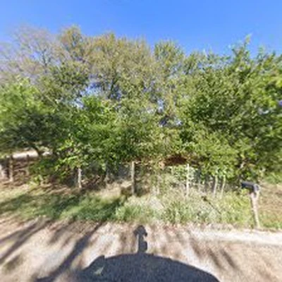 Dos Reyes Tree Service LLC