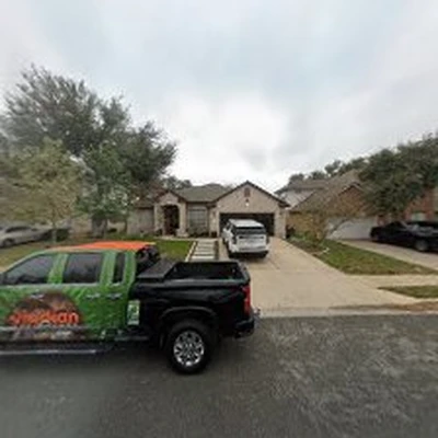 Viridian tree care