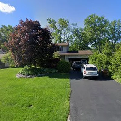 Arborist Care Tree Service