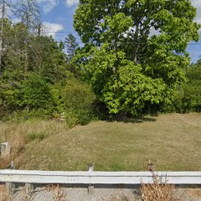Cheap Tree Service