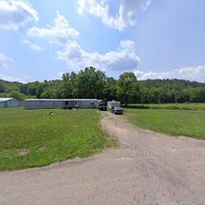 Ohio tree services