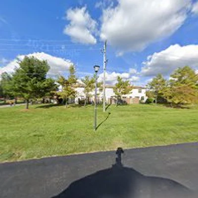 Ely's Tree Services