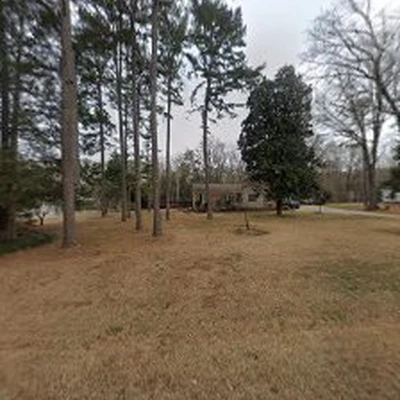 Branch Out Tree Service