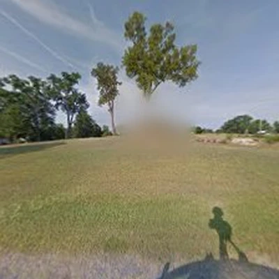 Tree Techs of Rock Hill