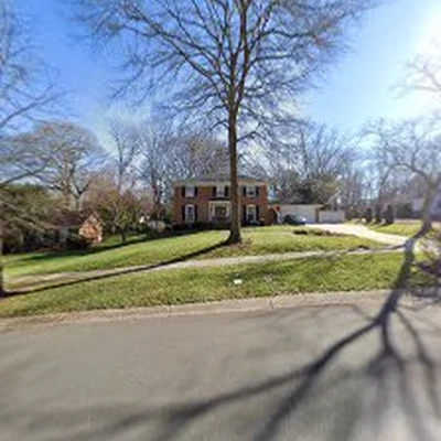 MTM Tree Services