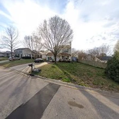 Hi Tree Service