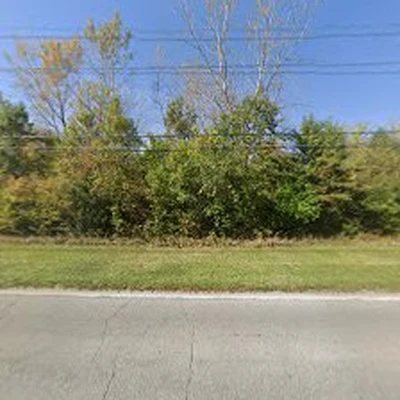 Indy Tree & Landscape