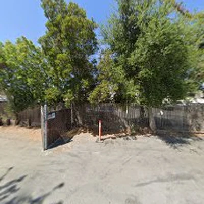 Mayne Tree Expert Company Inc.