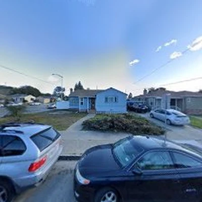 Tree Service San Leandro Pros