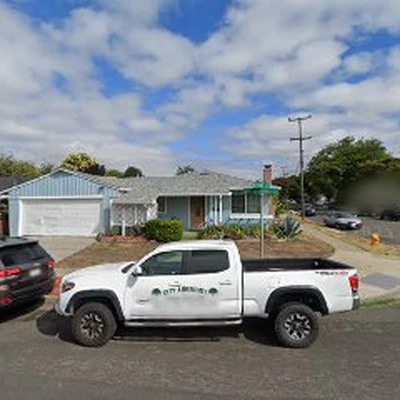 Olivares Tree Service