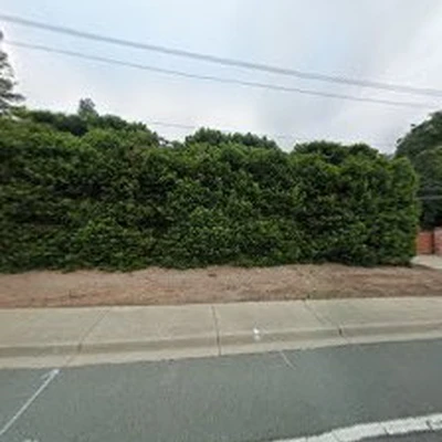 Quality Tree Care Arborist & Tree Removal