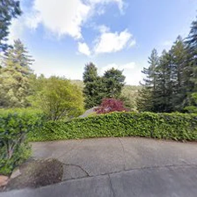 BOB'S FIRESAFE TEAM (TREE SERVICE)