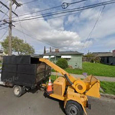 Perez Tree Services
