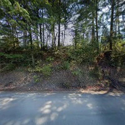 Thornhill Tree Care